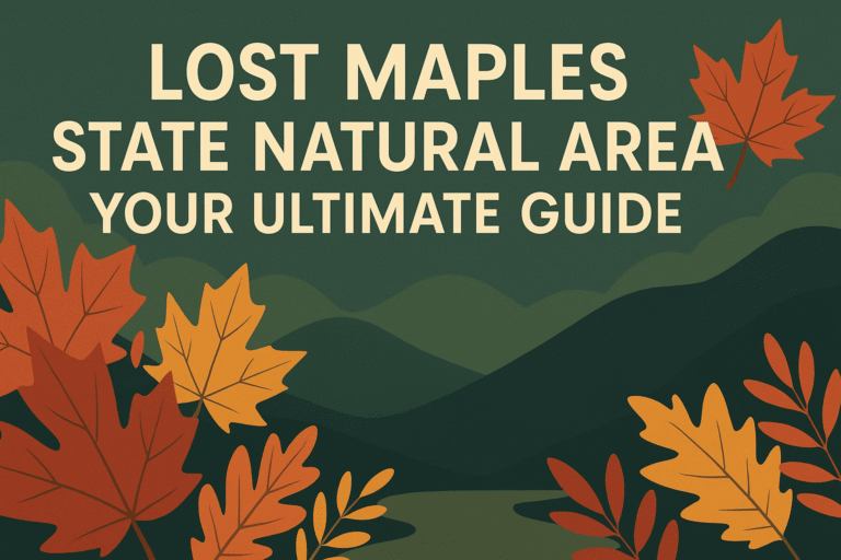 Lost Maples State Natural Area: Your Ultimate Guide