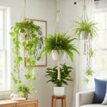 Hanging Indoor Plants: Transform Your Space With Cascading Greenery