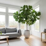 Large Indoor Plants: Transform Your Space with Statement Greenery